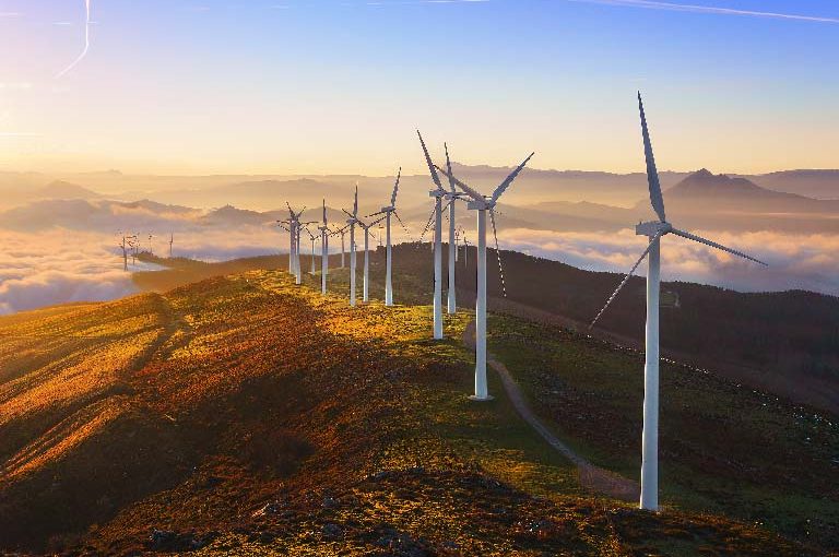 Innovation, competitiveness, sustainability