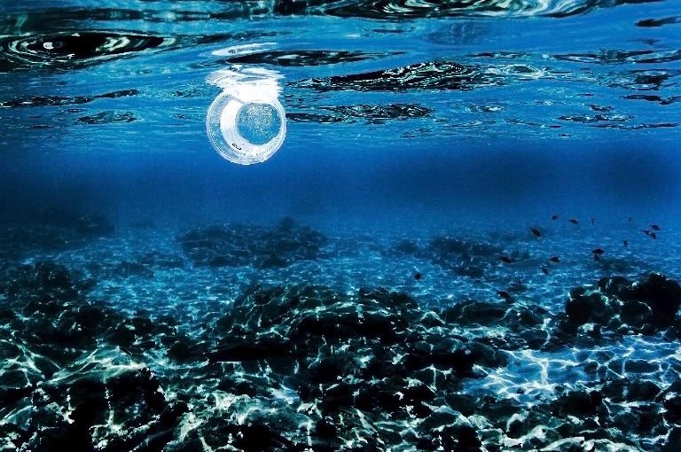 The oceans. Protecting them to protect ourselves.