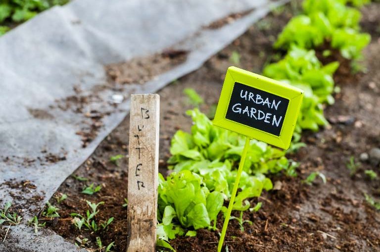 Sustainability at the table: examples of virtuous behaviours