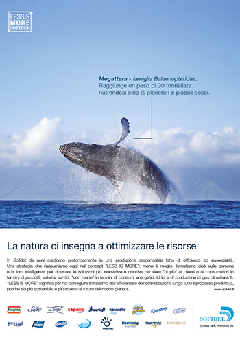 Corporate Campaign 2014