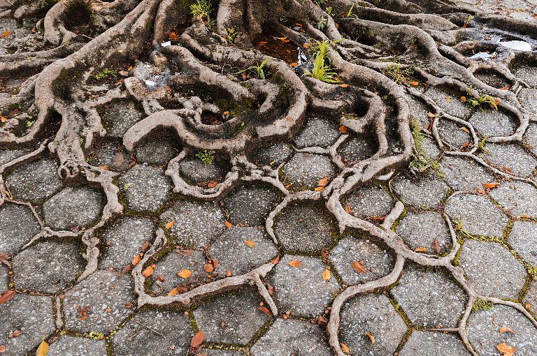 When resilience is transformative