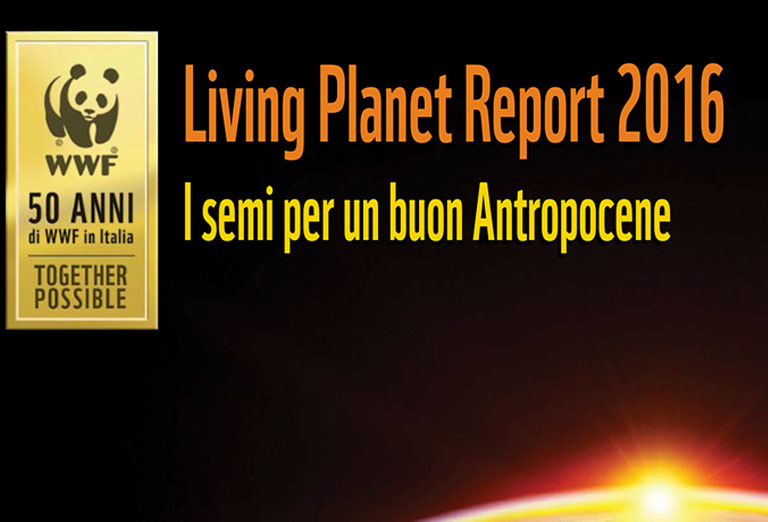 Nell’ambito della collaborazione con il WWF Sofidel sostiene il Living Planet Report 2016
