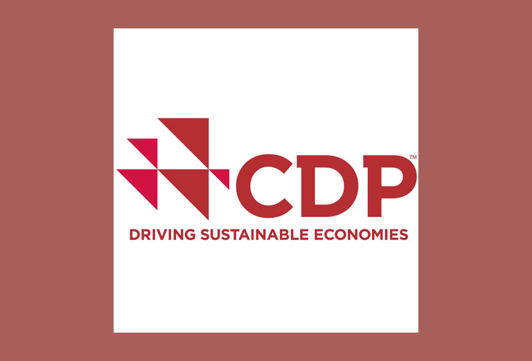 Sofidel has received CDP award for the best non-listed italian company for action on climate change
