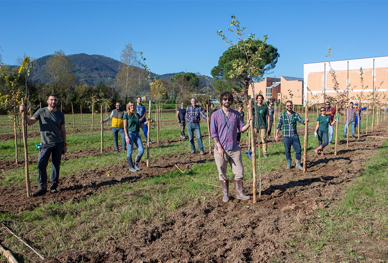 Sofidel a fianco di Talea per un progetto di forestazione urbana