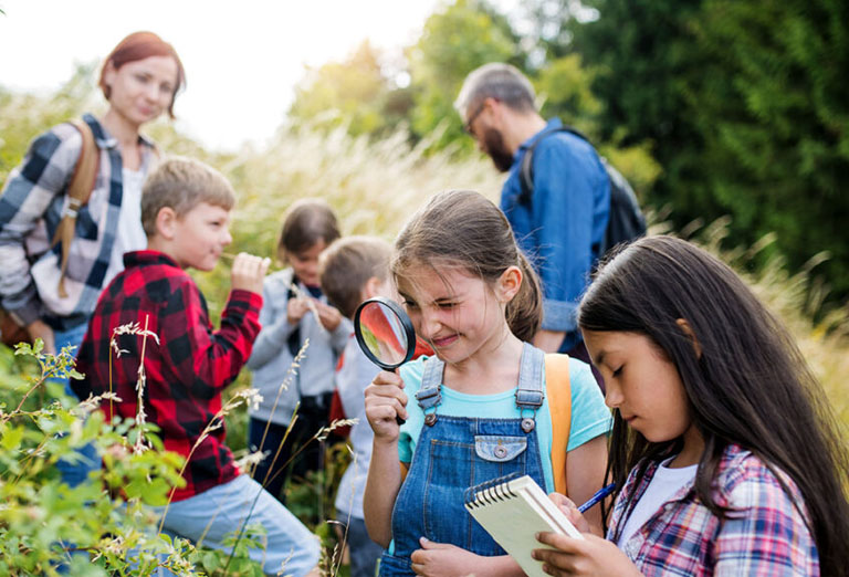 Sofidel organizes the “School for Sustainable Development” roundtable online