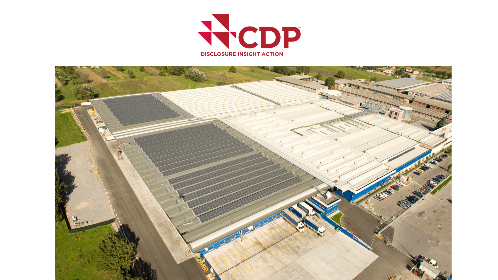 Sofidel – This year once again among CDP leaders to fight climate change and deforestation