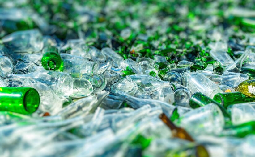Bioeconomia: la transizione ecologica come opportunità