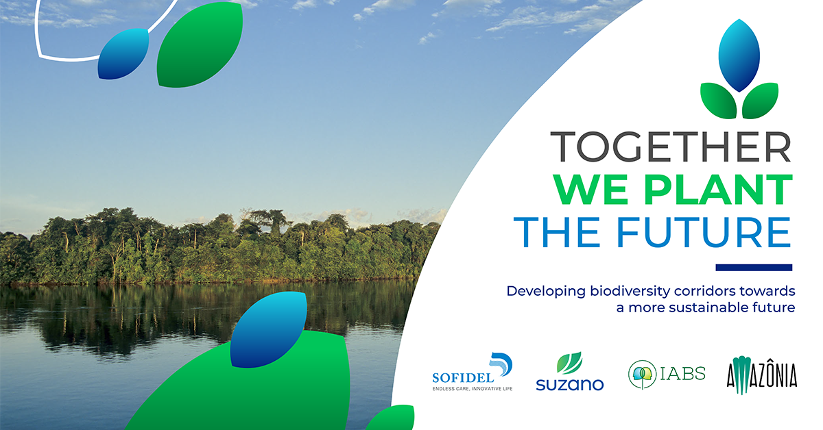 Suzano e Sofidel uniscono le forze per un progetto pilota di protezione della biodiversità e sostegno alle comunità locali nella regione amazzonica