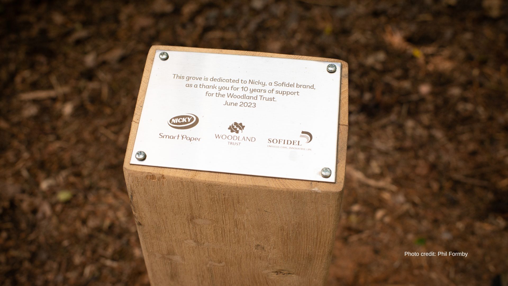 The Woodland Trust unveils an oak filled grove at Martinshaw Wood in Leicestershire in dedication to partner Sofidel as a thank you for 10 years of support for UK wood and trees