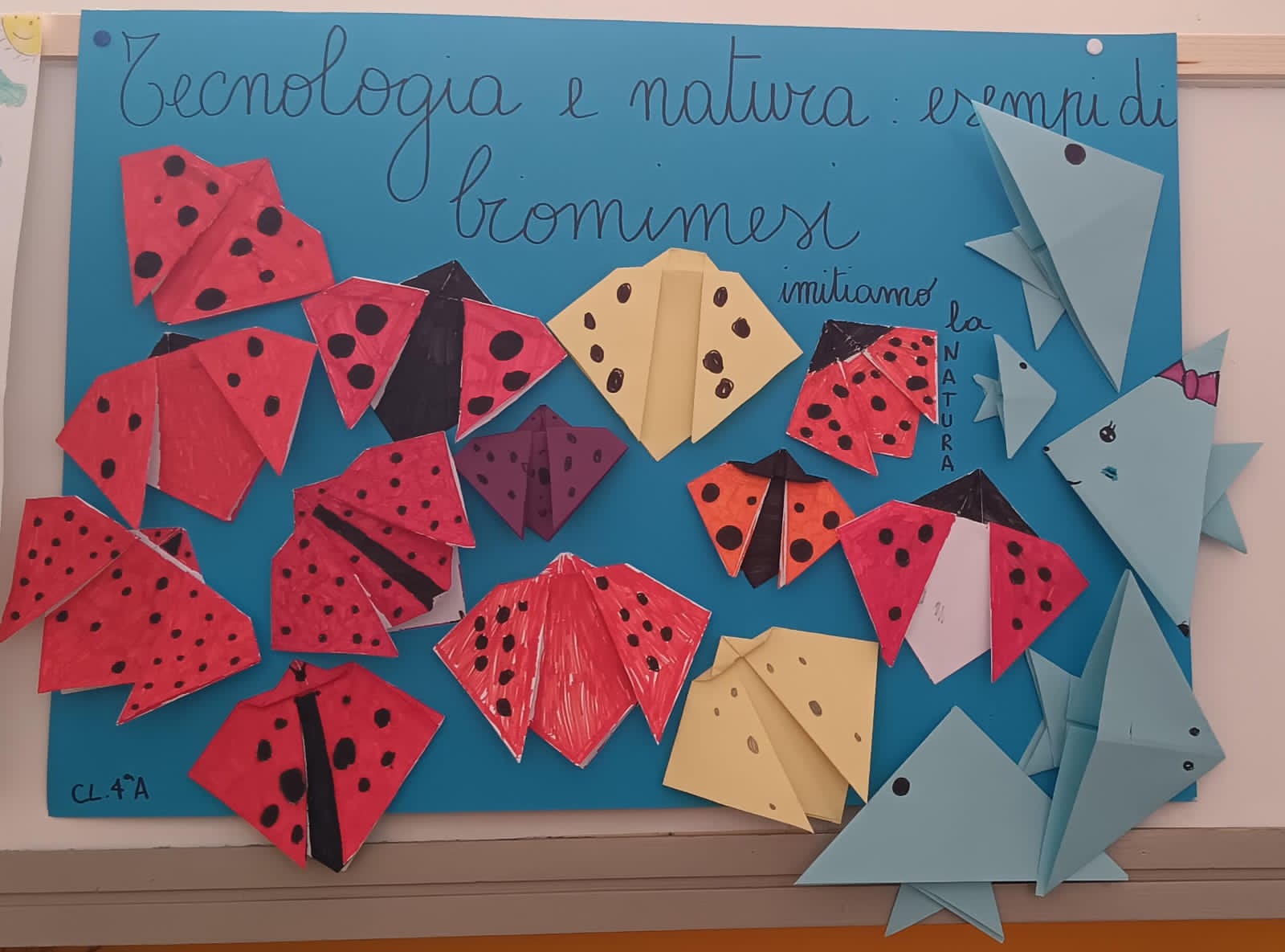 Mi Curo di Te – “Agire secondo Natura”: ecco le 10 scuole vincitrici